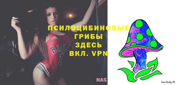 ECSTASY Билибино