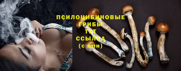 меф Переславль-Залесский