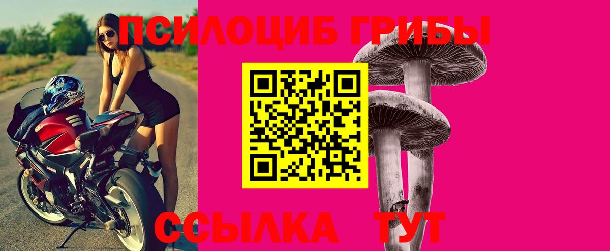 Галлюциногенные грибы прущие грибы  Галлюциногенные грибы Psilocybe  Вход с VPN  Богданович 