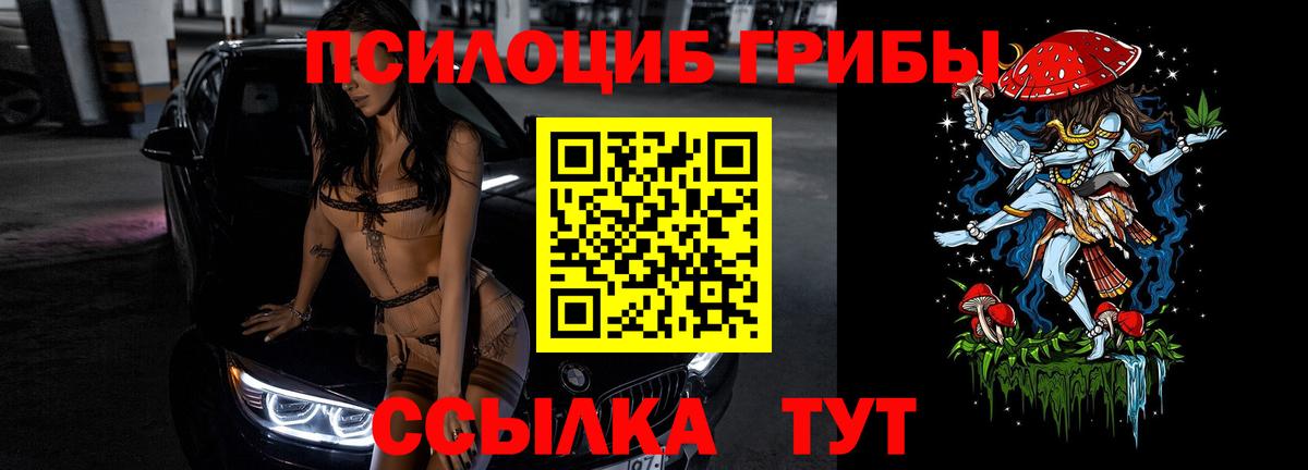 Псилоцибиновые грибы мухоморы Богданович