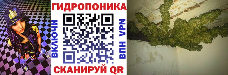 Марихуана план  Богданович 